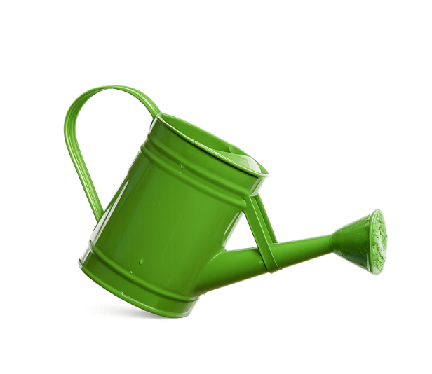 Best Islamic Parenting Course